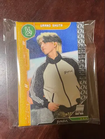 OWV 우라노 슈타 미니 캔버스 보드