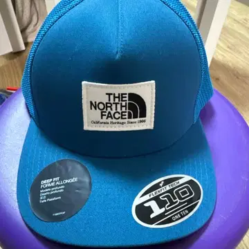 THE NORTH FACE 파란색 DEEP FIT 캡 110 ONE
