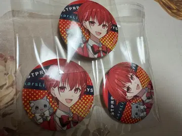 STPRBOYS 오토미야 캔뱃지 x 3