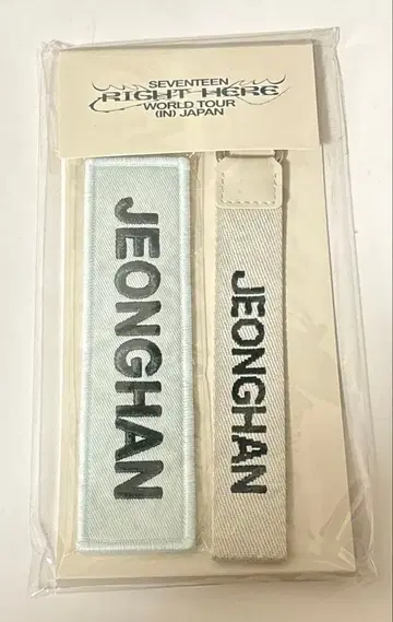 SEVENTEEN 정한 굿즈