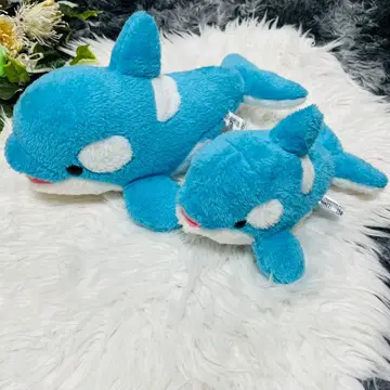 카모가와 씨월드 범고래 봉제 인형 2세트 블루 34cm 24cm