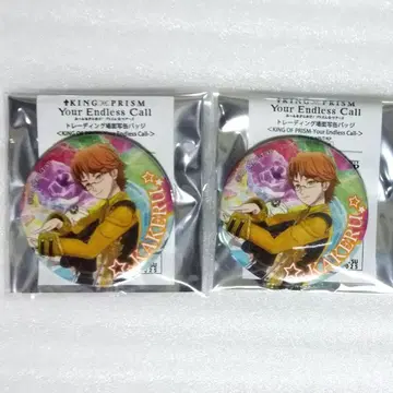 KING OF PRISM 킨츠아 카케루 캔뱃지 아니슈가