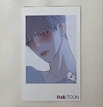 BeLTOON 애욕 J 정원 57 폴라로이드