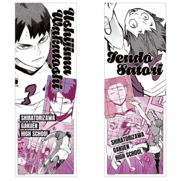 2점 하이큐 캐릭터 포스터 컬렉션 포스터 텐도 사토리 우시지마 와카토시