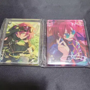 앙스타 코롯타 사에구사 이바라 아니카페