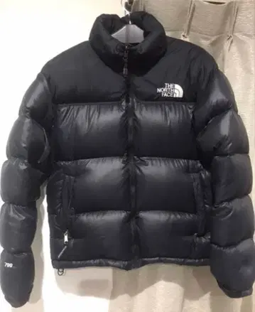 THE NORTH FACE 해외 눕시 M 사이즈 레어