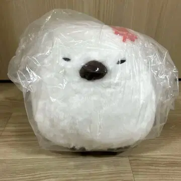 복복 시마연가 가을 컬러 절정 울트라 BIG 오시마 퍼플