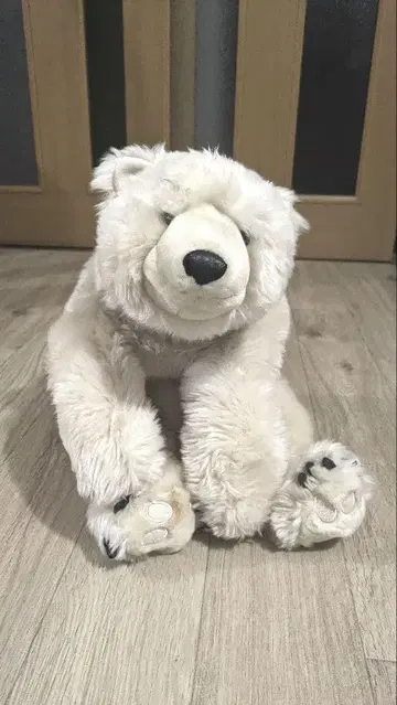 DITZ 허그베어 시로쿠마 봉제 인형 화이트베어 폴러베어 미사용