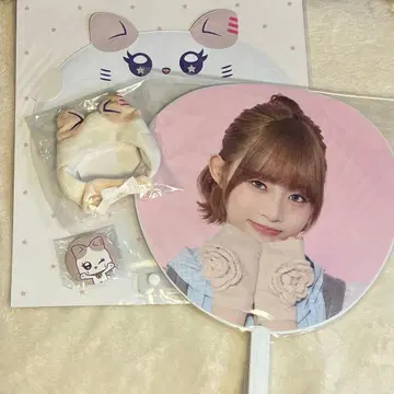 이이다 시즈쿠 4세트