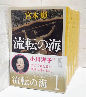 유전의 바다 제1~9부 [전권]