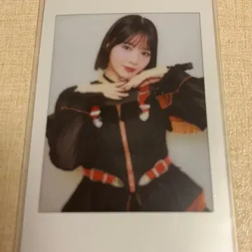 FRUITS ZIPPER 칭제 스즈카 프린트 폴라로이드