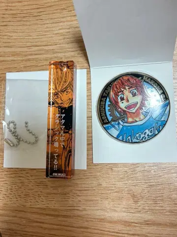 아시바 토타 초약충 페달 전시회