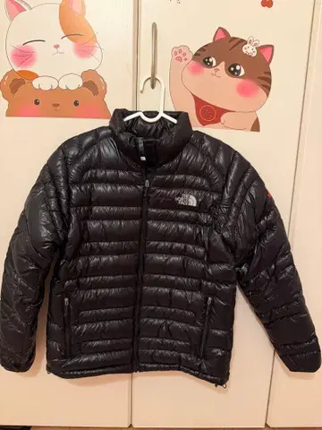 The North Face 블랙 다운 자켓