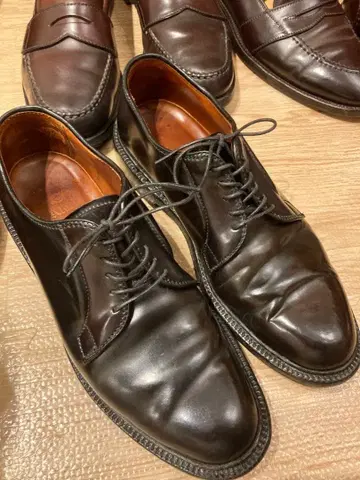 알든 9901 코도반