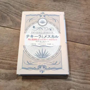 테킬라와 메스칼 같은 기원을 가진 아가베 스피릿