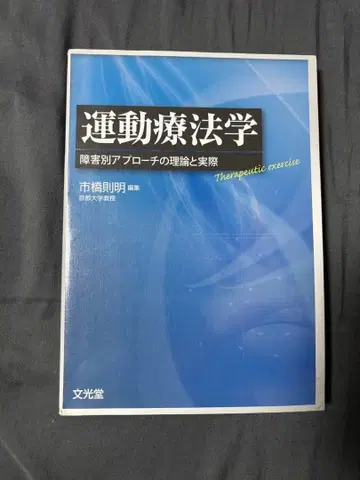 운동 치료학 이치하시 노리아키 저 문광당