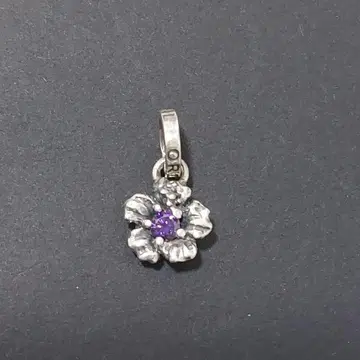 ROYALORDER 로얄오더 하이비스커스 LIMITED