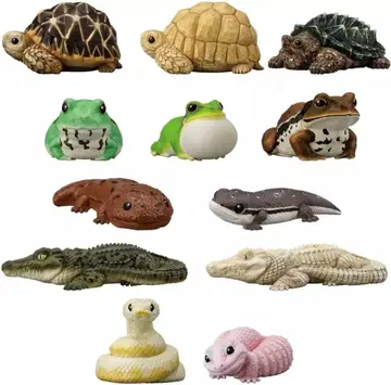 미개봉 새상품 테노리 프렌즈 12 전 12종 풀 컴프 파충류 양서류