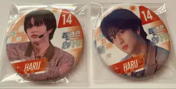 오늘 발송 새상품 영화 초특급 the movie RE:VE 캔뱃지 하루