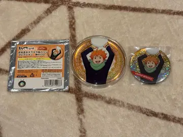 하이큐 눈놀이 캔뱃지 히나타 쇼요