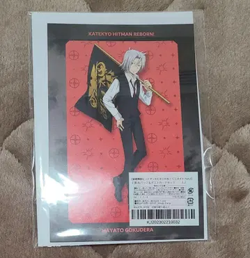 가정교사 히트맨 REBORN! 복권 메이트 고쿠데라 하야토 캔뱃지&엽서