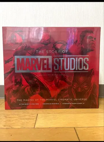 스토리 오브 마블 스튜디오