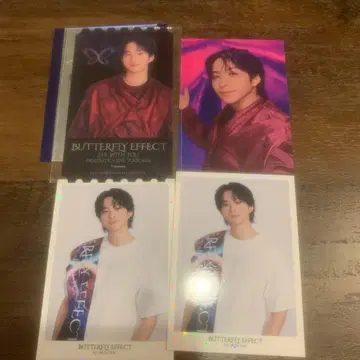 BUTTERFLY EFFECT 사와모토 나츠키 트레이딩 카드