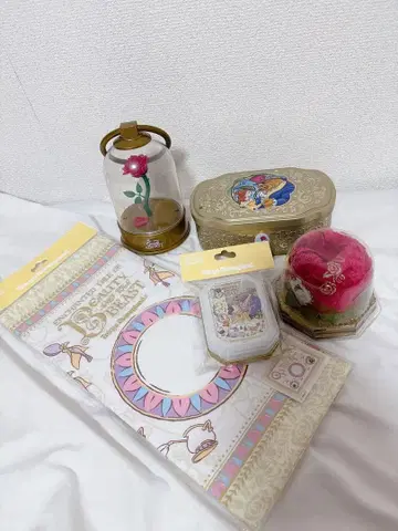 미녀와 야수 5세트