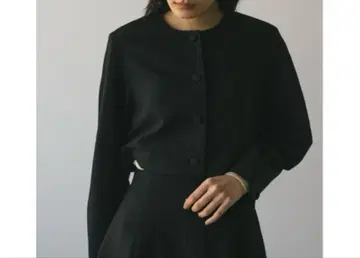 STYLEMIXER 형태 숏 자켓