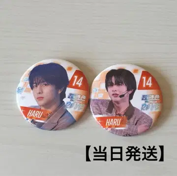 [당일 발송] 초특급 the movie RE:VE 캔뱃지 하루