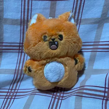 nctdream 런쥔 봉제 인형 트레이딩 카드