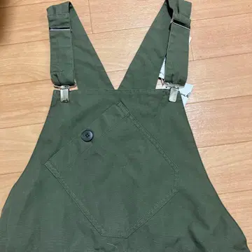 아네스베 살로펫 그린