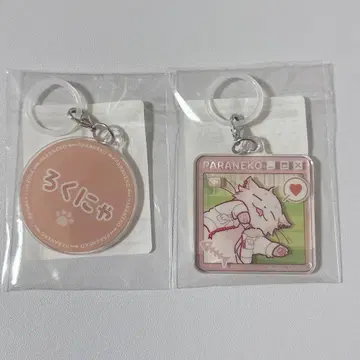 Paradox Live 로쿠타 파라 고양이