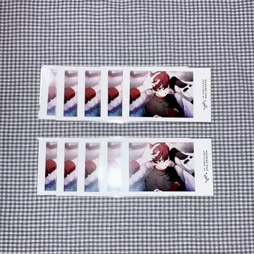 비바렌 비바세카 샤타콜레 미케라 오프쇼