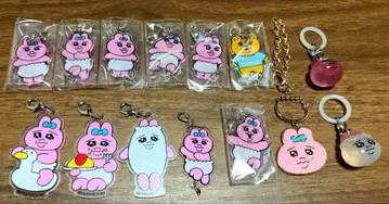 빤쮸토끼 묶음 판매