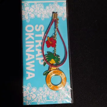 가정교사 히트맨 REBORN!! 키링