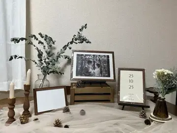 웰컴 스페이스 내추럴 나무 가을 겨울