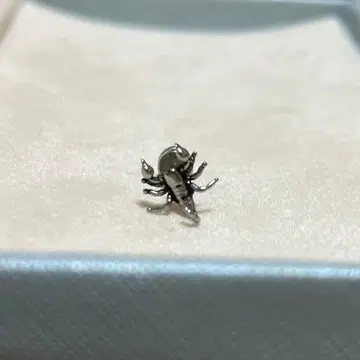 귀걸이 [ 전갈 ]