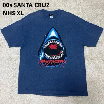 00s SANTA CRUZ 산타크루즈 Speed Wheels NHS