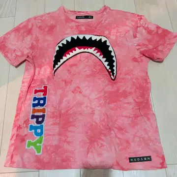 HUDSON 타이 다이 샤크 T셔츠