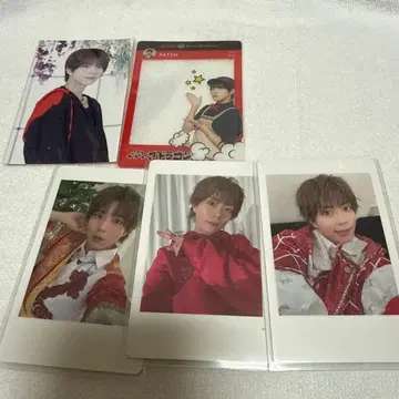 팬더 드래곤 팻치