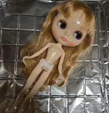 브라이스 커스텀