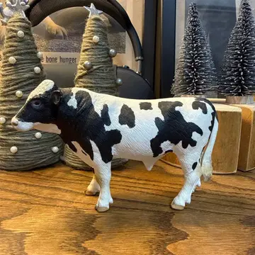 단종 초레어 슐라이히 홀슈타인 소