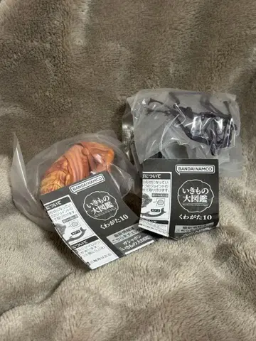 생물대도감 장수풍뎅이 10 가챠가챠 2종 세트 번데기 메탈릭 퍼플