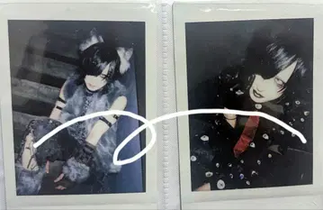 자아자아 폴라로이드 히토키 안