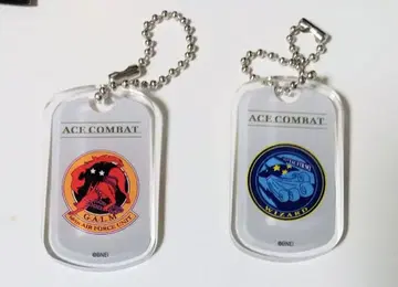 갈름대 위자드대 아크릴 키링 에이스 컴뱃 30주년