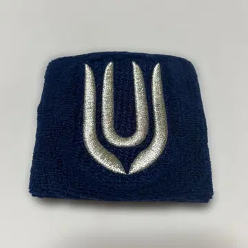 UNISON SQUARE GARDEN 비사이드 리스트 밴드 유니존