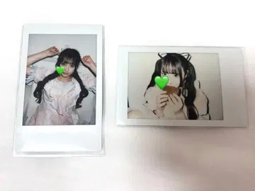 와카바노아 2024 런치 폴라로이드 메이드