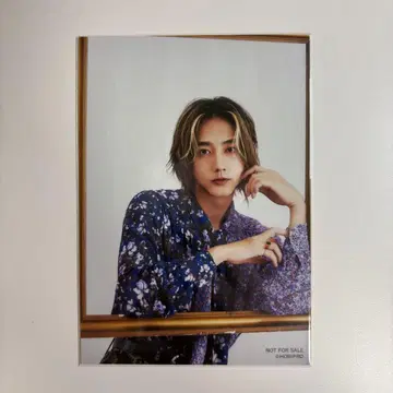 코마키네 아오타 생사진