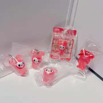 TWICE 채영 메지루시 액세서리 등